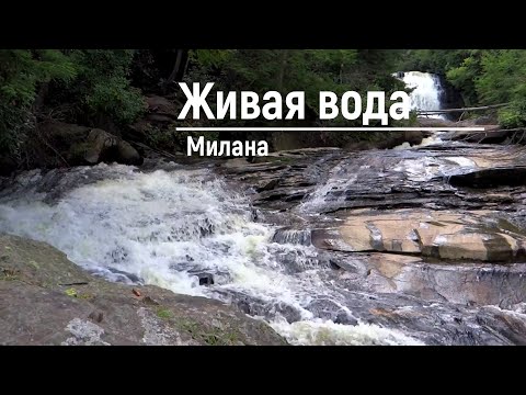 "Живая вода" Милана