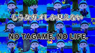 【直撮り実況】夜のしげ森 　NO TAGAME，NO LIFE