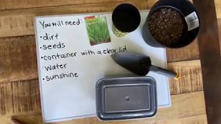 STEM Activity: Greenhouse