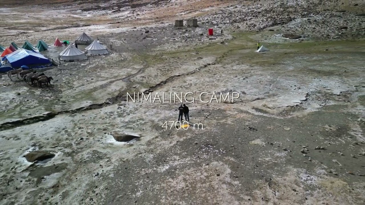 Nimaling , Part 34, Markha valley , Ladakh