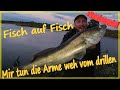 Angeln am fluss hier steht alles voll fisch und holle muss in den knast   elbeangeln elbe