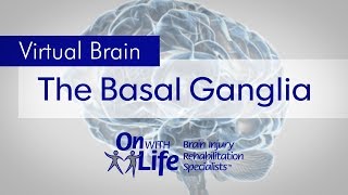 On With Life Virtual Brain - Basal Ganglia
