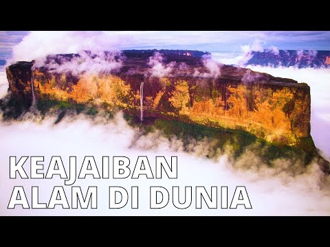 Video: Apakah Ada yang Memperhatikan Berita Perjalanan Terliar Musim Panas Tampaknya Selalu Melibatkan LAX?