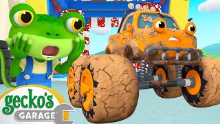 Max \& Molly Mudbath | Gecko's Garage | Cartoons For Kids | Toddler Fun Learning