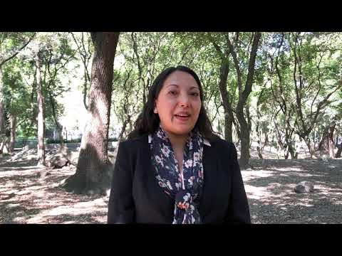 Video: Besonderheiten von Mexiko