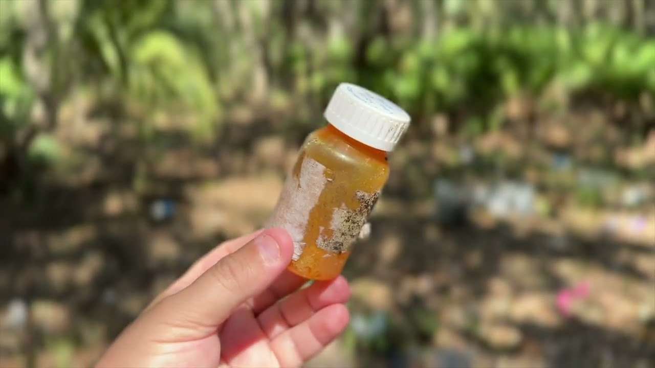 US19 Florida’s Homeless Corridor, Camps Empty Out Ahead Of New Homeless Law