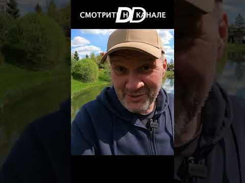 ПОЧЕМУ УЗБЕКИ ТАК ЛЮБЯТ ЧАЙ №95??? #short