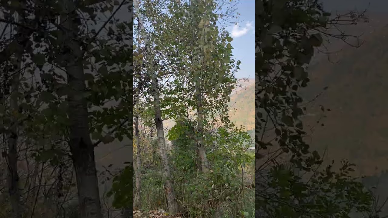 Swat Valley Trekking