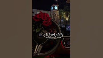 "وما ابرئ نفسي ان النفس،امارة بالسوء." || القارئ محمد هشام✨🌷