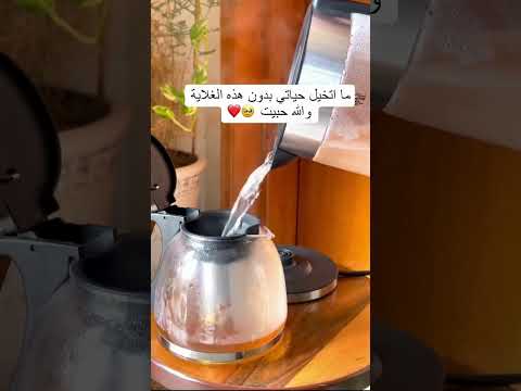 اكتشف متعة الشاي الطازج مع غلايتنا الكهربائية ذات الطابقين مول زون اكسبلور