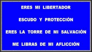 Vignette de la vidéo "ERES MI LIBERTADOR DANIEL CALVETTI"