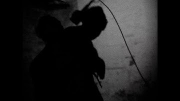 Days Like These - Long Live (The Music Video)