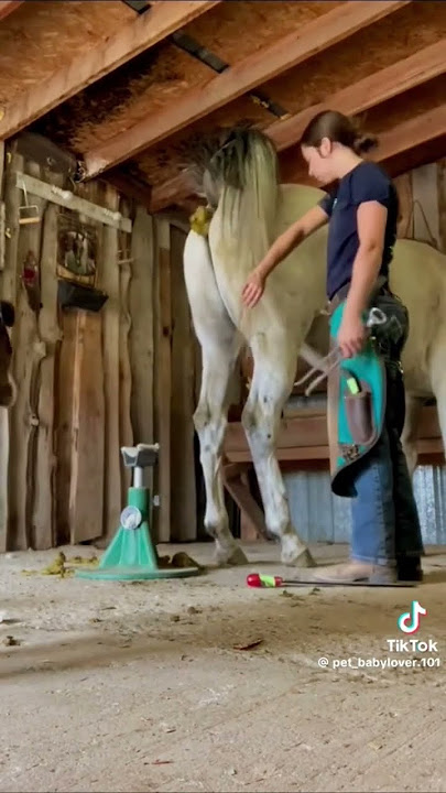 HOLY SHIT POOP 💩 #LOL #FUNNIESTVIDEO #FUNNYMOMENT #FUNNIESTVIDEO #animals #lol #funny 😆 🤣 😂 😹