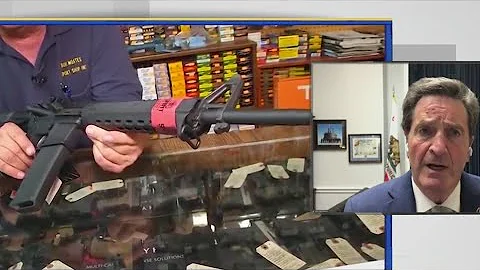 Wave of mass shooting spurs new gun control debate