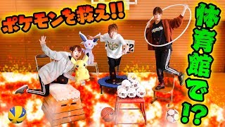 ポケモン - るんたさん交渉中 Showdown] Each one costs XXX yen!? A Pokémon card battle
