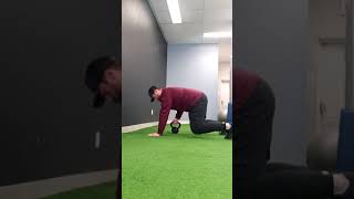 Quadruped Hold (w/Kettlebell Pull through)