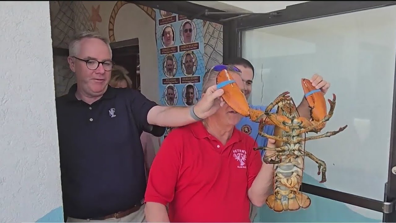110-year-old lobster gets a second chance at life - YouTube