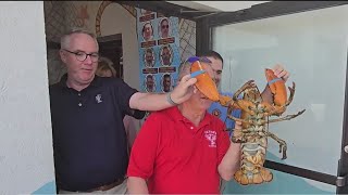 110-year-old lobster gets a second chance at life Profile