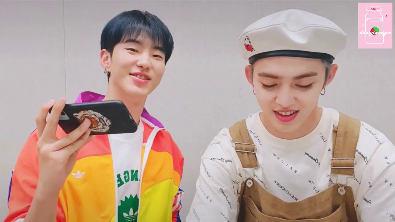 (SEVENTEEN繁中字)搞笑場面TOP 3! 之V LIVE中成員們的電話連線