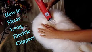 How to shear an angora rabbit with electric clippers. German angora rabbit shearing tutorial.