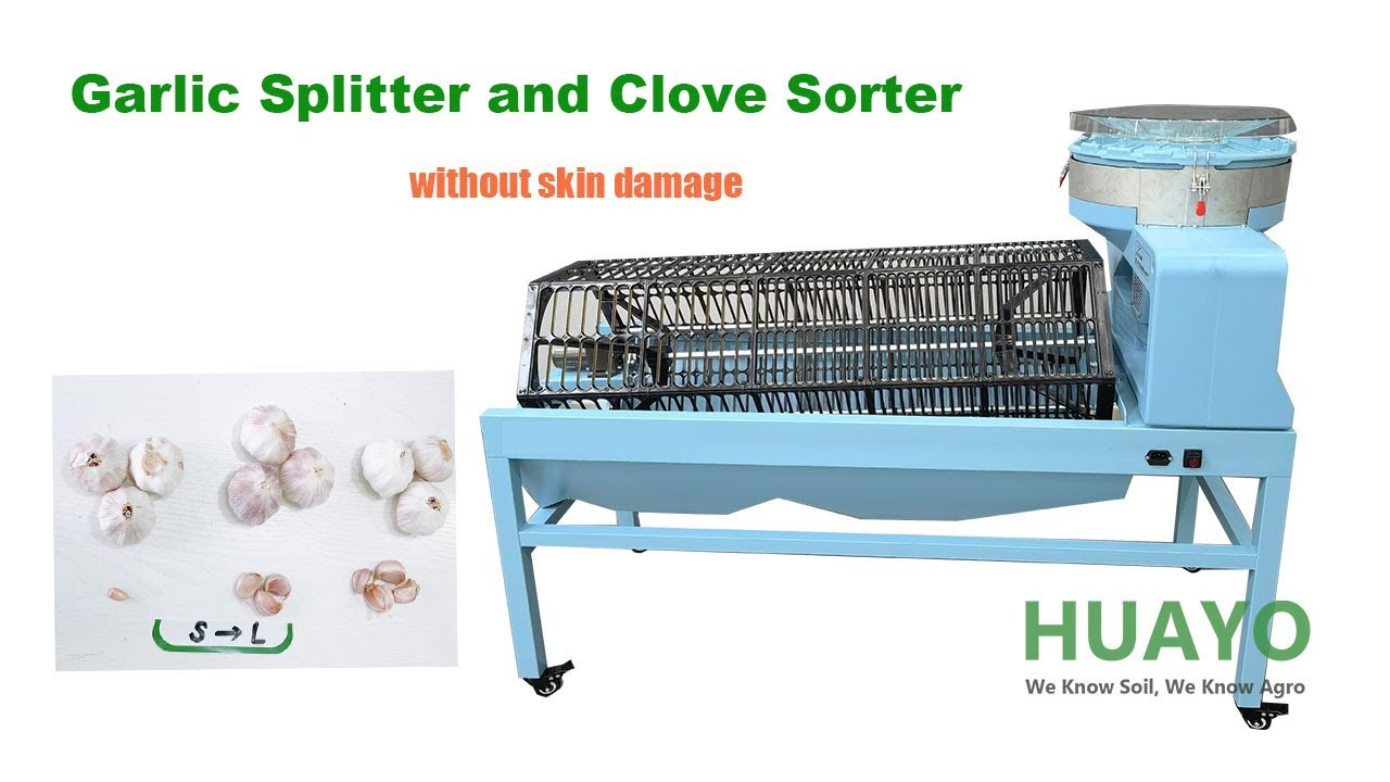 Garlic Clove Separator Machine Supplier for Splitting Garlic Efficiently