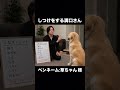 しつけをする溝口さん #チバニャン #溝口勇児 #モノマネ