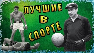 Лучшие в Своём Виде Спорта