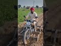 खेत जोतकर उगाया चीकू, मेहनत ने दिया मीठा फल! 🍈🚜