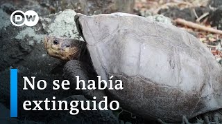 Hallan en Galápagos tortuga gigante que se creía extinguida hace más de 100 años screenshot 5