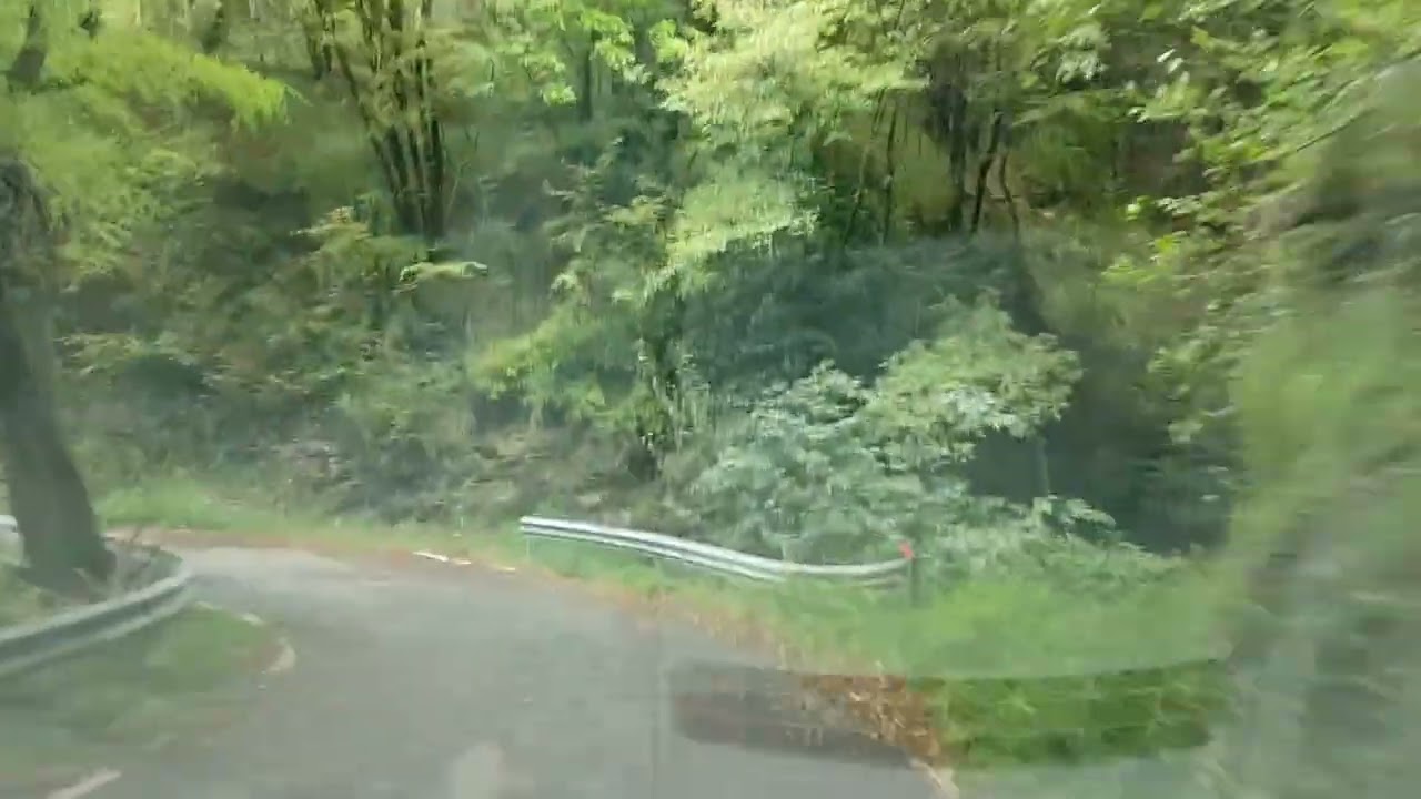 40° Rally della Lanterna - PS Portello