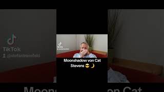 moonshadow von Cat Stevens 😎 🌙 auf Mundharmonika