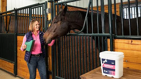 EquiShure Hindgut Supplement for Horses