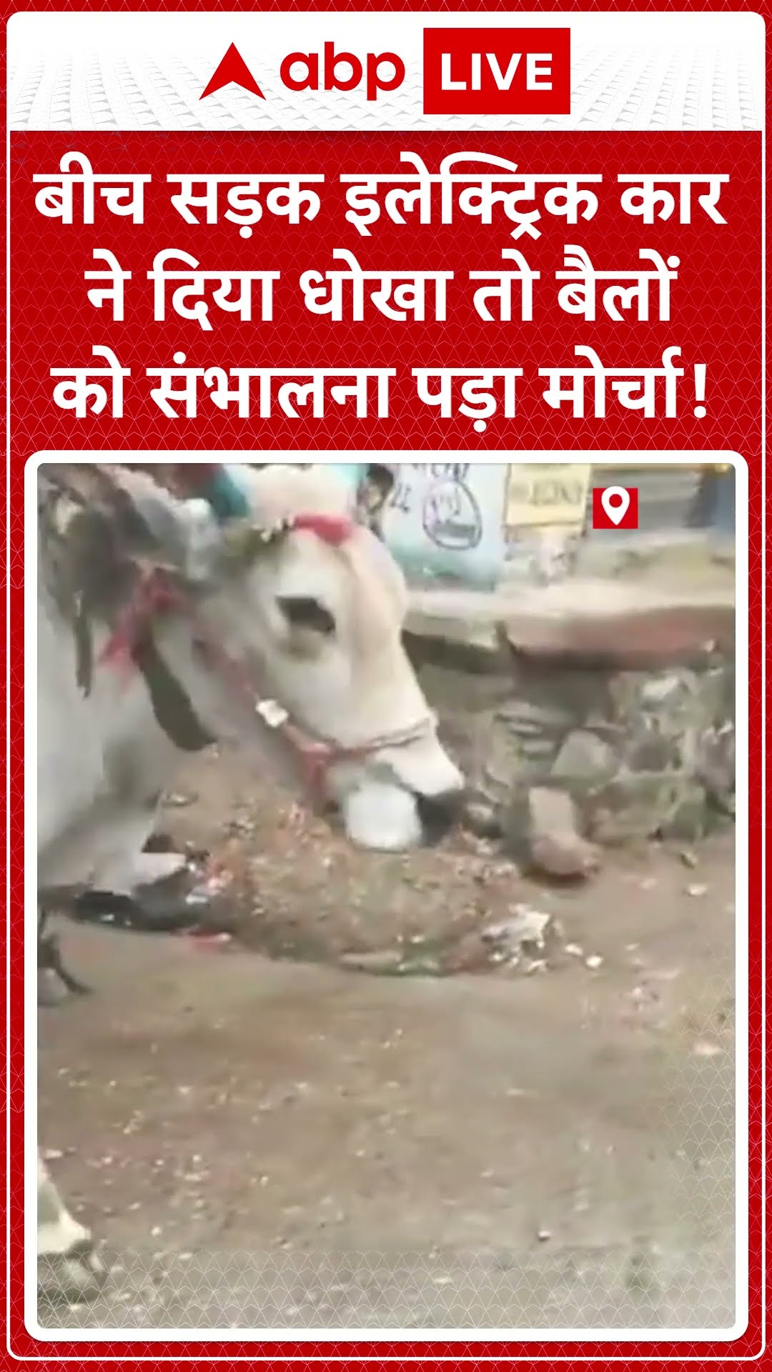 बीच सड़क Electric Car ने दिया धोखा तो बैलों को संभालना पड़ा मोर्चा ! | ABP LIVE | SHORTS