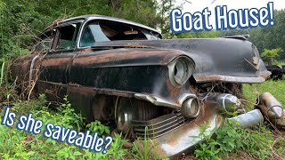 Dragging a 1954 Cadillac from a Field after being Wrecked Over 50 Years Ago