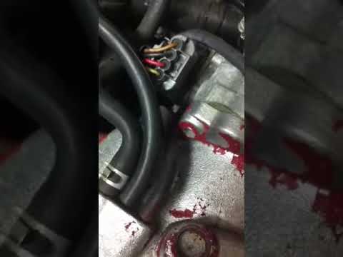 IMG 3748