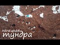 Пролетая над олешками, Ненецкий автономный округ, 2020 год