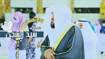 هدوء د. بندر بليلة يُزيد التلاوة جمالاً على جمال لآيات قصة سيدنا موسي تلاوة هادئة