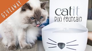 Catit 𝗣𝗜𝗫𝗜 𝘀𝗺𝗮𝗿𝘁 𝗳𝗼𝘂𝗻𝘁𝗮𝗶𝗻 review & 𝑮𝑰𝑽𝑬𝑨𝑾𝑨𝒀! | Ragdolls Pixie and Bluebell