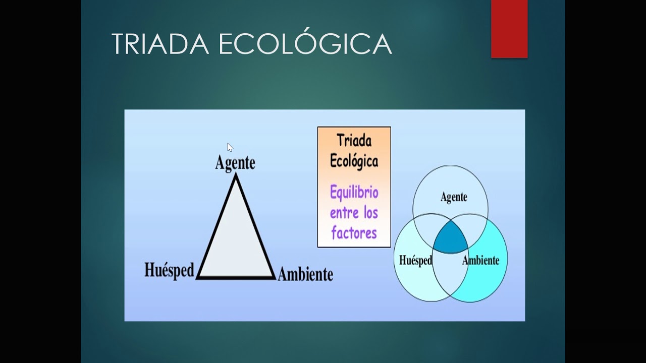 Enfermería. Fundamentos. Proceso Salud-Enfermedad