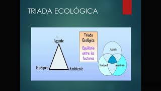 Enfermería. Fundamentos. Proceso Salud-Enfermedad