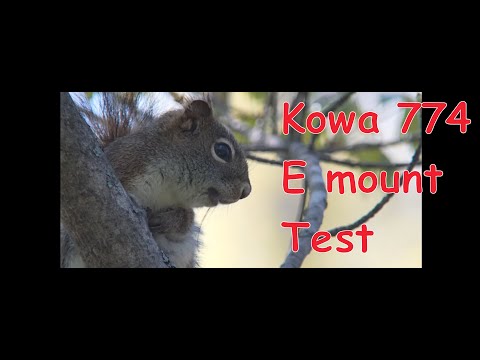 Kawa TSN PA7A