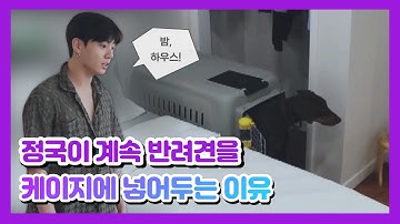 sub) Why BTS Jungkook keeps "Bam" in the kennel