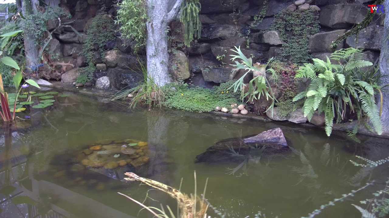 Small lake.  Маленькое озеро