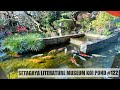 Setagaya literature museum koi pond (Setagaya, Tokyo)