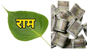 1 पीपल के पत्ते पर राम वाला उपाय जरुर करे इतना पैसा आएगा इतना पैसा आएगा कि Pradeep Mishra Ji 😊