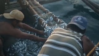 BOLET YONG LAMBAT NAMIN SA DAMI NG ISDA 😱NAG TATALONAN SA LAMBAT 😱😱