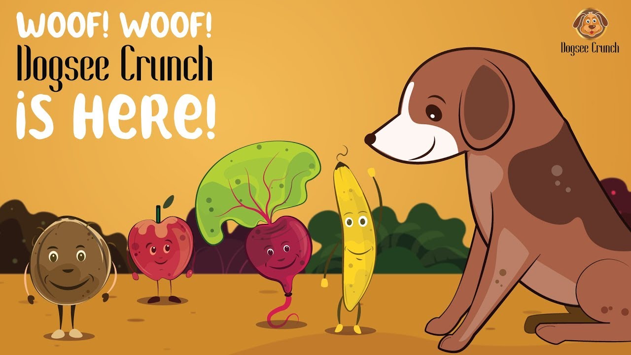 Dogsee Crunch Arrives- The Single-Ingredient treat to delight your dog