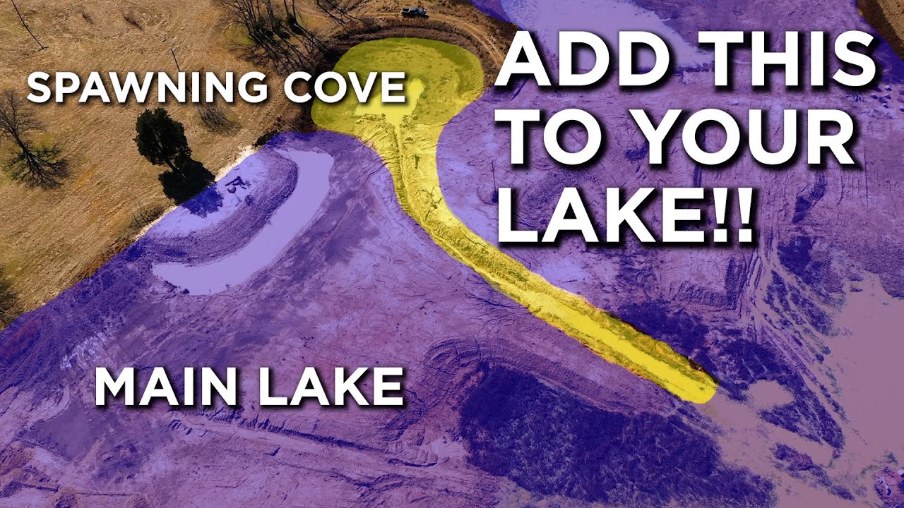 Building A Farm Pond?! ADD THIS!! YouTube