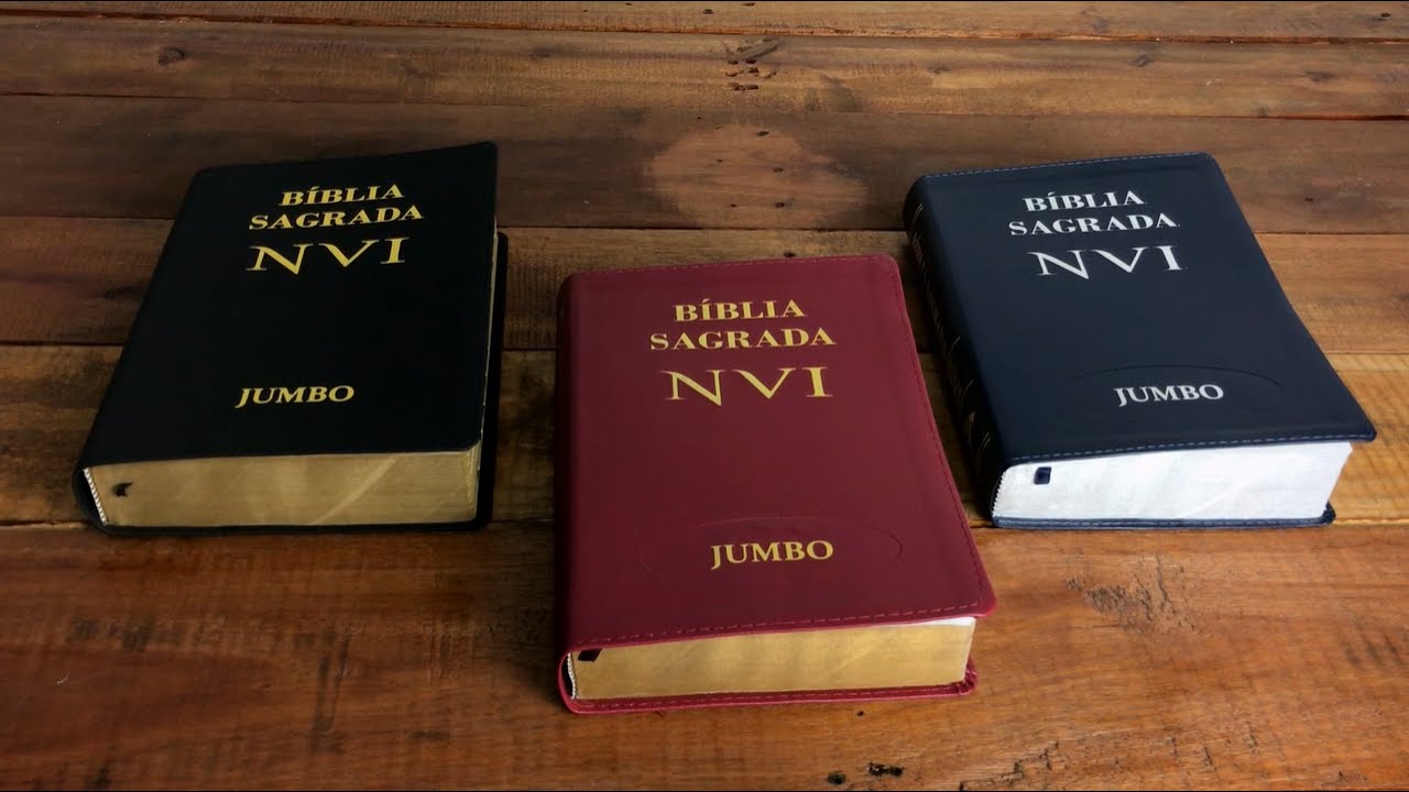 Biblia Sagrada Traducao Dos Originais Bible With Zippered Case