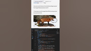 HTML CSS ANIMATION Cool Magnifying Glass Animation using | Web Dev Shorts #javascript #shots #shorts